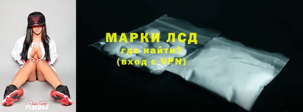 спайс Каменка