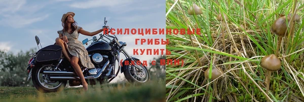 стафф Каменск-Шахтинский