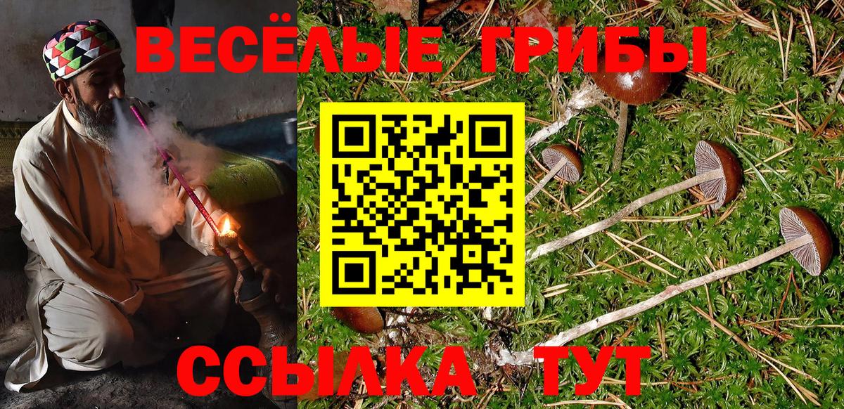 Ишим  Галлюциногенные грибы Cubensis  купить наркотик  Псилоцибиновые грибы Psilocybine cubensis  Вход с VPN 